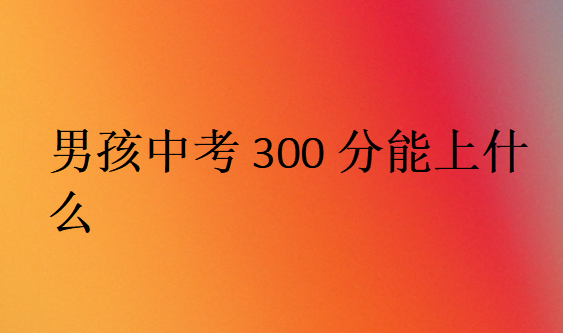 男孩中考300分能上什么