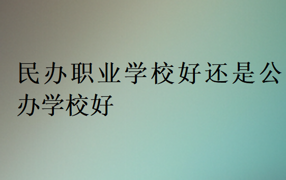 民辦職業(yè)學(xué)校好還是公辦學(xué)校好